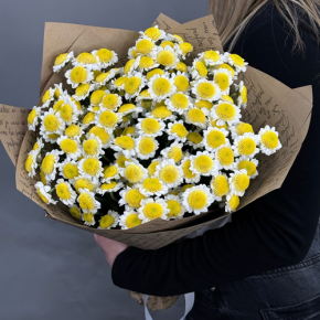 Букет "Моё солнышко" из 11 хризантем сантини  в Павловском Посаде