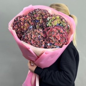 Букет из 5 космических Голландских гортензий в Павловском Посаде