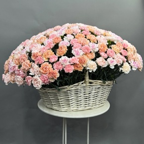 Композиция в корзине из 251 диантуса микс в Павловском Посаде