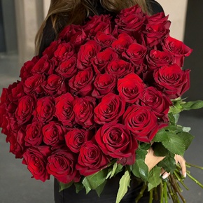 Букет 51 роза Эквадор Эксплорер (60 см) в Павловском Посаде