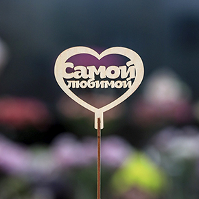 Топпер Самой Любимой в Павловском Посаде