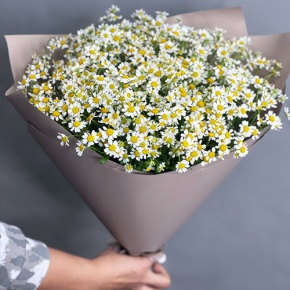 Букет из 17 ромашек танацетум в Павловском Посаде
