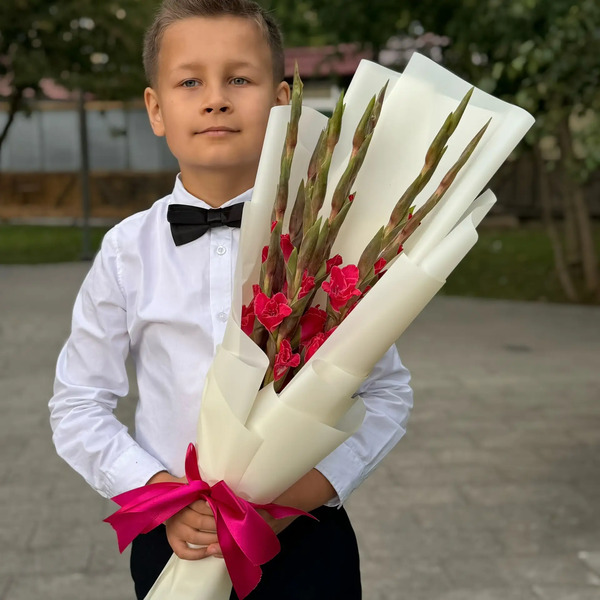 Букет на 1 сентября из 7 малиновых гладиолусов в Павловском Посаде