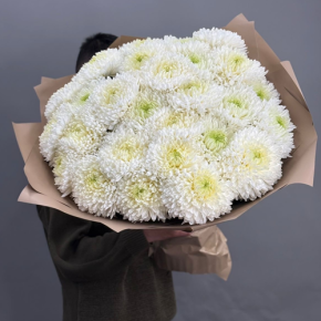 Букет из 27 хризантем Магнум в Павловском Посаде