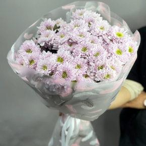 Букет "Нежный комплимент" из 9 кустовых хризантем в Павловском Посаде