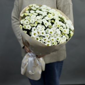 Букет "Милая моя" из 17 хризантем сантини в Павловском Посаде