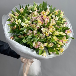 Букет "Зарина" из 37 альстромерий микс в Павловском Посаде
