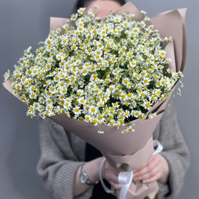 Букет из 17 полевых ромашек в Павловском Посаде