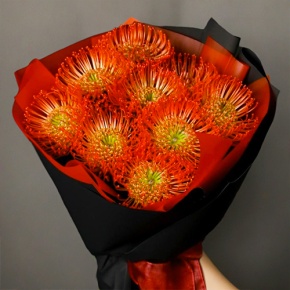 Букет из 9 лейко в Павловском Посаде