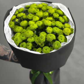 Стильный букет "Лайм" из 15 хризантем сантини в Павловском Посаде