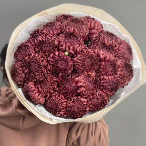 Букет 21 шоколадной хризантемы Бигоуди в Павловском Посаде