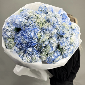 Букет из 23 синих гортензий в Павловском Посаде