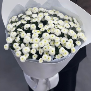 Букет "Белая дымка" из 25 хризантем сантини в Павловском Посаде