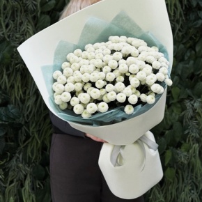 Букет из 25 хризантем Ньютон в Павловском Посаде