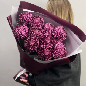 Букет "Изобилие" из 11 винных хризантем Бигоуди в Павловском Посаде