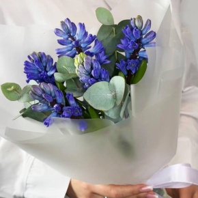 Букет "Мини" из 5 ароматных гиацинтов и эвкалипта в Павловском Посаде
