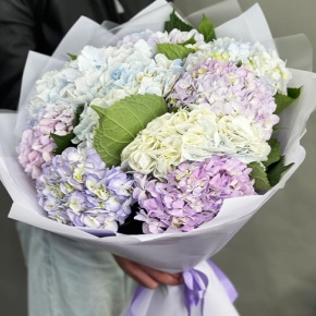 Букет из 9 Голландских гортензий микс в Павловском Посаде
