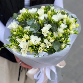 Букет из 51 белой фрезии в Павловском Посаде