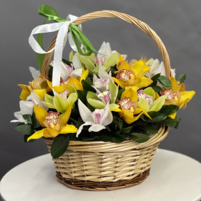 Композиция в корзине из 25 орхидей микс в Павловском Посаде