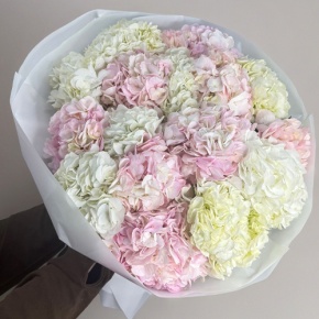 Букет из 17 нежных гортензий в Павловском Посаде