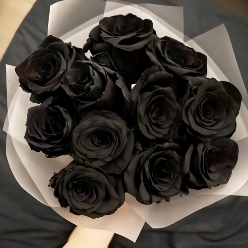 Букет "Черная королева" из 11 черных роз Эквадор (60 см) в Павловском Посаде