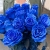 15 синих LUX роз Эквадор (70 см) в Павловском Посаде