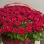Композиция в корзине из 151 красной розы в Павловском Посаде