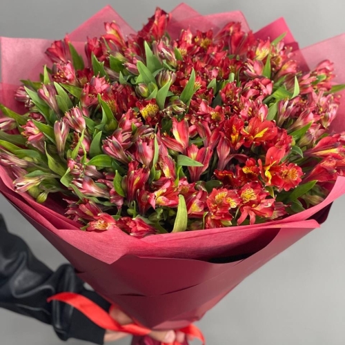Монобукет из 25 красных альстромерий в Павловском Посаде