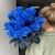 15 синих LUX роз Эквадор (70 см) в Павловском Посаде