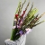 Букет из 25 гладиолусов микс в Павловском Посаде