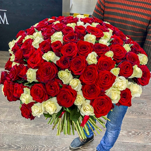Букет 151 роза красный и белый микс (60 см) в Павловском Посаде