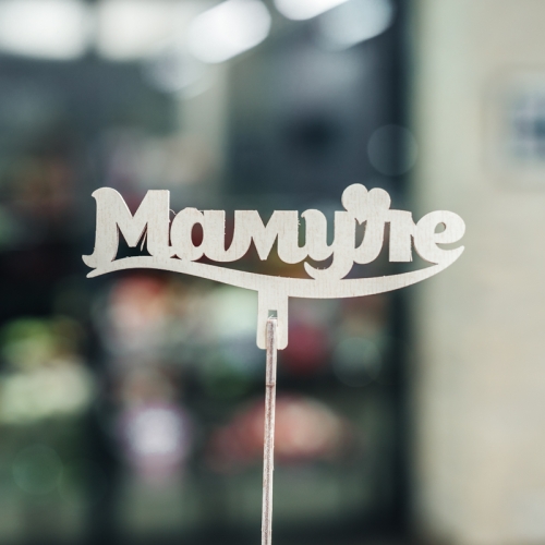 Топпер Мамуле в Павловском Посаде