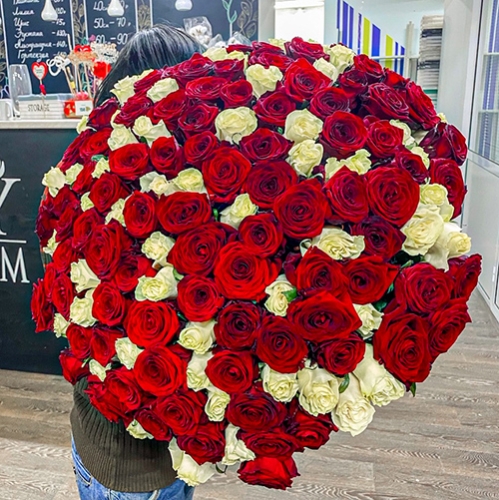 Букет 151 роза красный и белый микс (60 см) в Павловском Посаде
