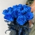 15 синих LUX роз Эквадор (70 см) в Павловском Посаде