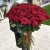 Букет из 101 красной розы (90 см) в Павловском Посаде