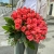 Букет 51 роза коралл (60 см) в Павловском Посаде