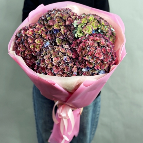 Букет из 5 космических Голландских гортензий в Павловском Посаде