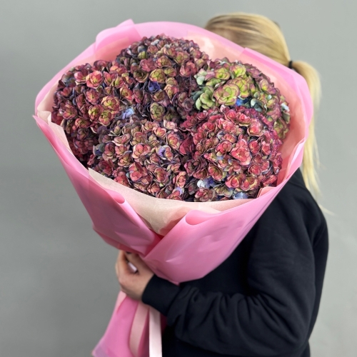 Букет из 5 космических Голландских гортензий в Павловском Посаде